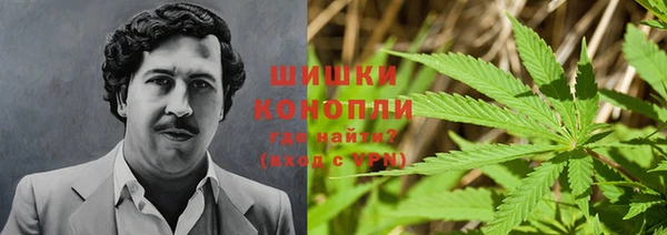 скорость Вяземский