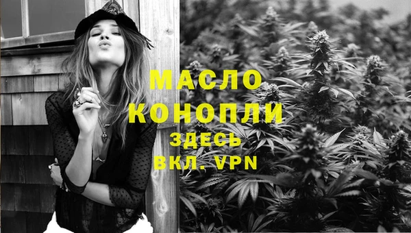 скорость Вяземский