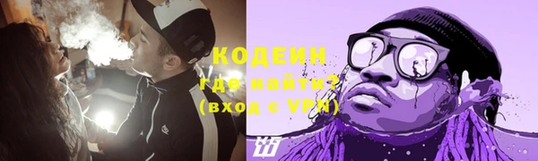 скорость Вяземский