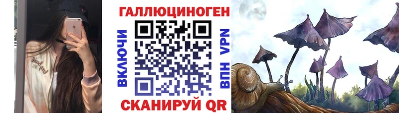 Галлюциногенные грибы Psilocybe  Купить  Сим 